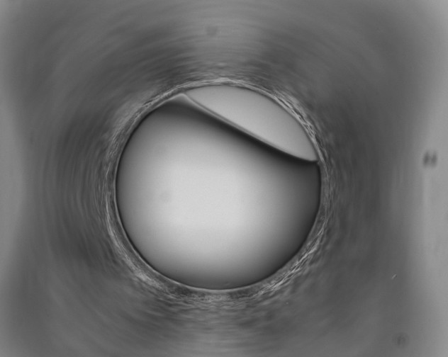 X0000091570097200708201000