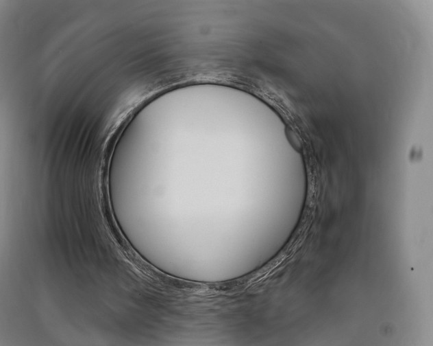 X0000091570098200708201000