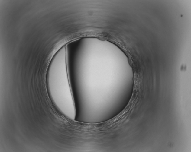 X0000091570099200708201000