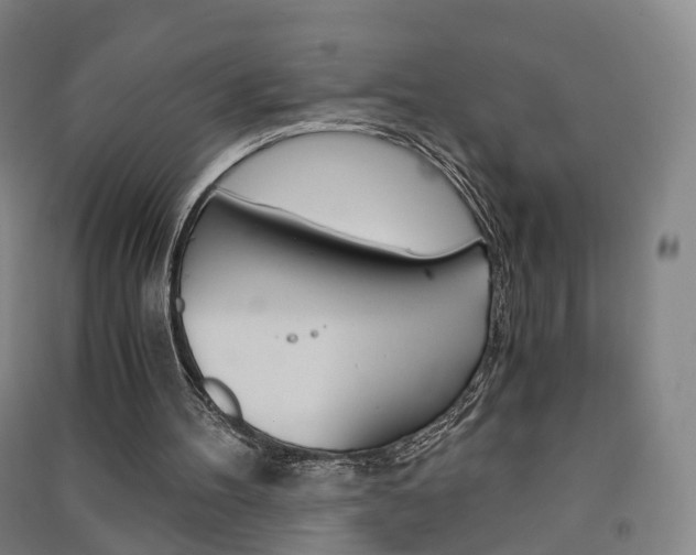 X0000091570100200708201000