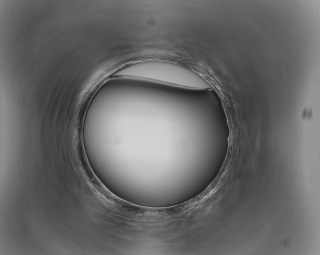X0000091570101200708201000