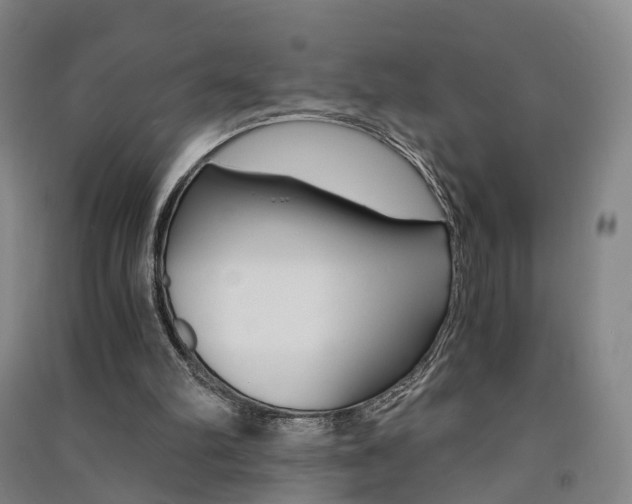 X0000091570102200708201000