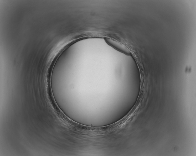 X0000091570103200708201000