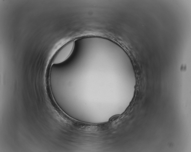 X0000091570104200708201000