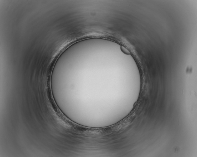 X0000091570106200708201000