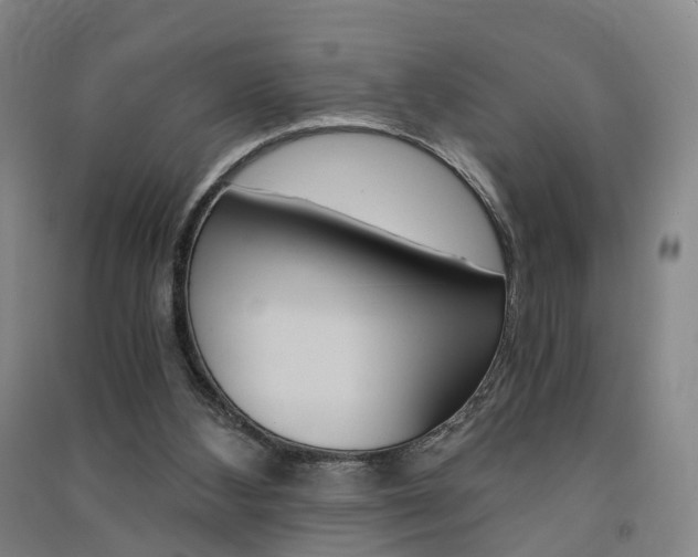 X0000091570108200708201000