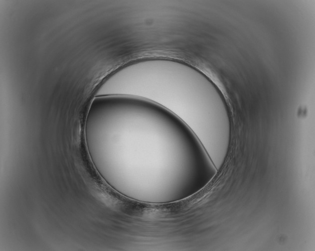 X0000091570109200708201000