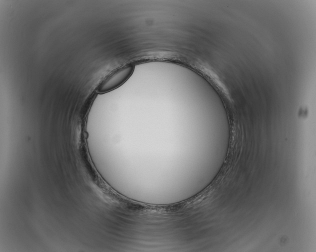 X0000091570110200708201000