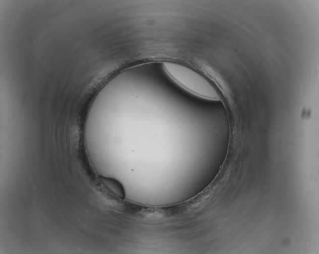 X0000091570113200708201000
