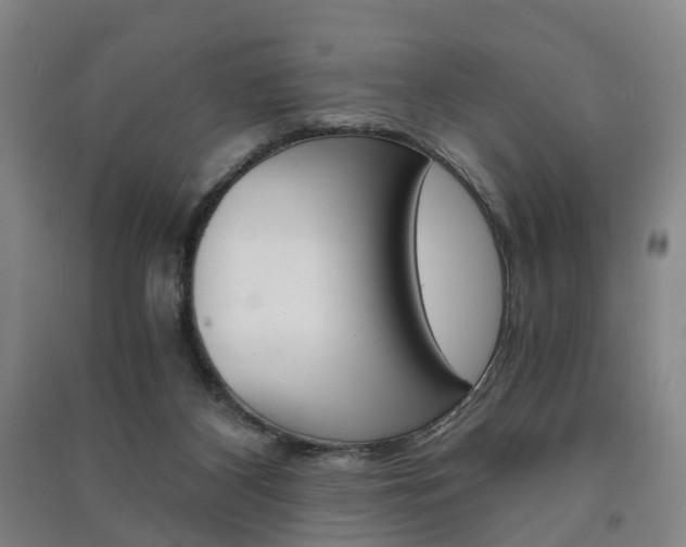 X0000091570116200708201000