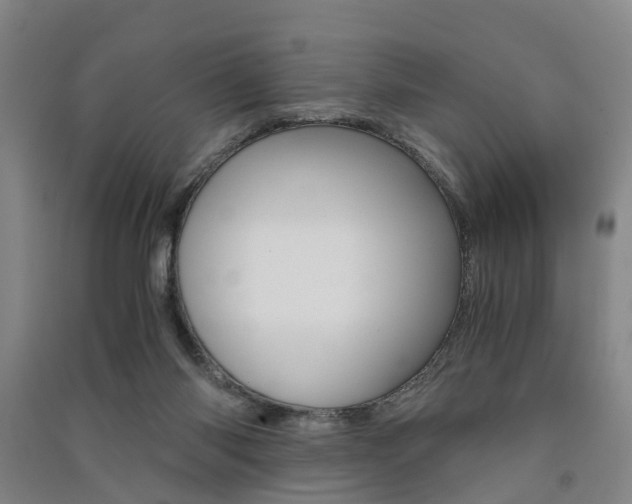 X0000091570118200708201000