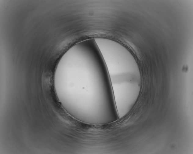 X0000091570119200708201000