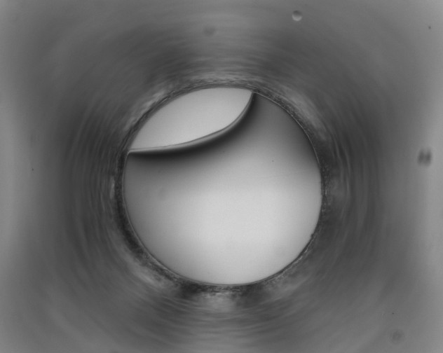 X0000091570120200708201000