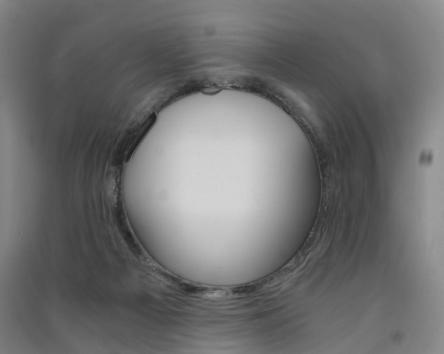 X0000091570121200708201000