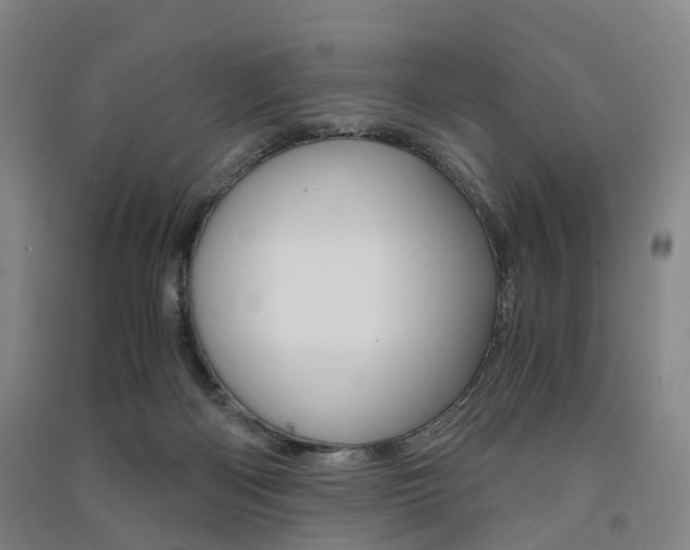 X0000091570122200708201000