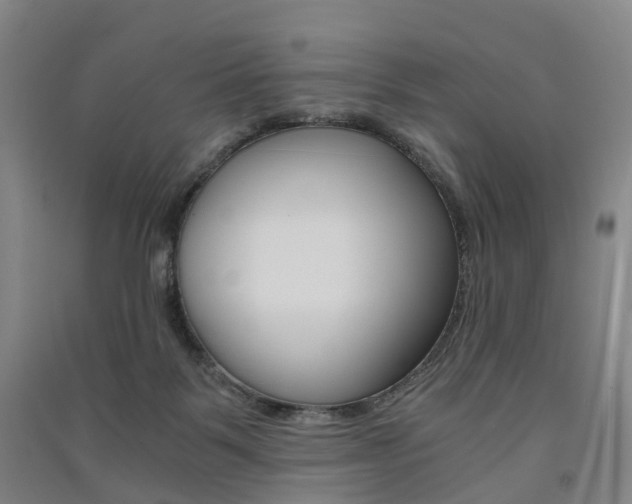 X0000091570123200708201000
