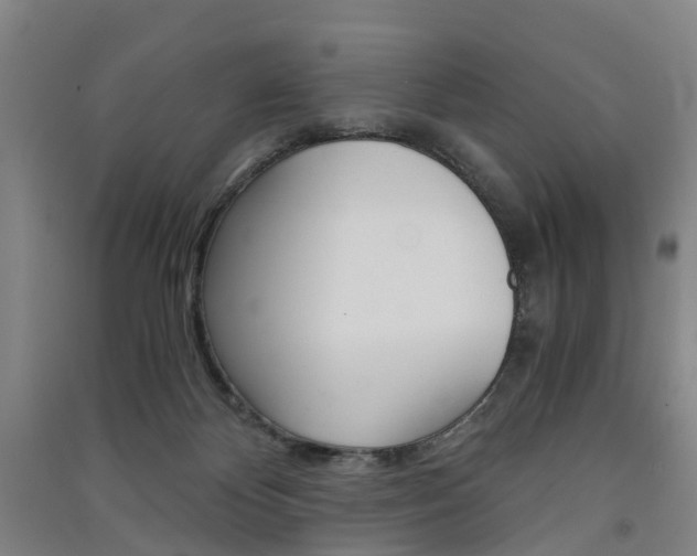 X0000091570124200708201000