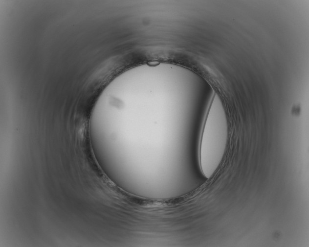 X0000091570125200708201000