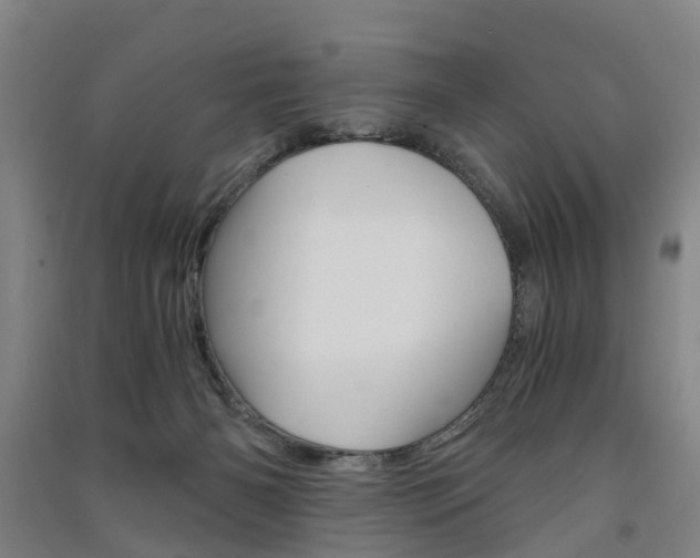 X0000091570126200708201000