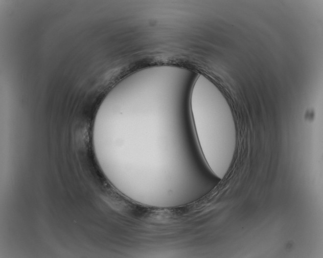 X0000091570127200708201000