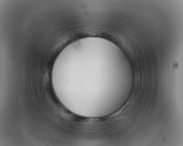 X0000091570128200708201000