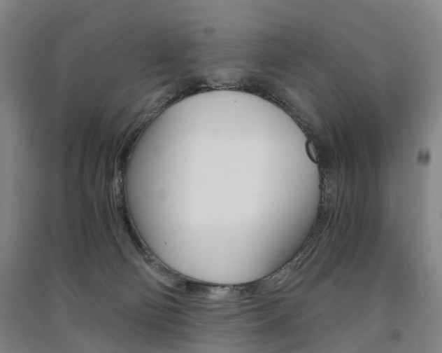 X0000091570130200708200959