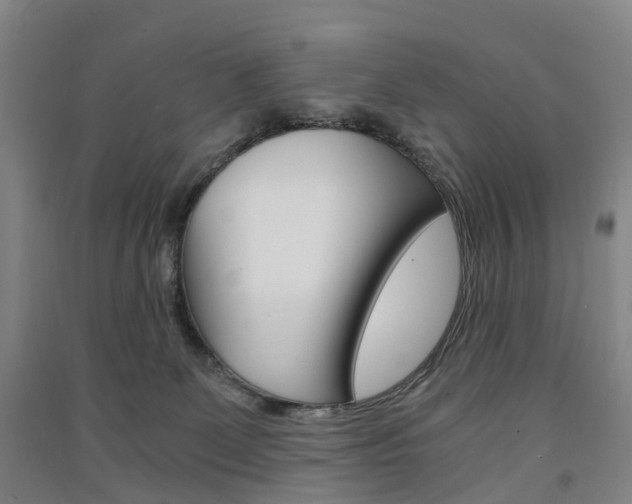 X0000091570131200708200959