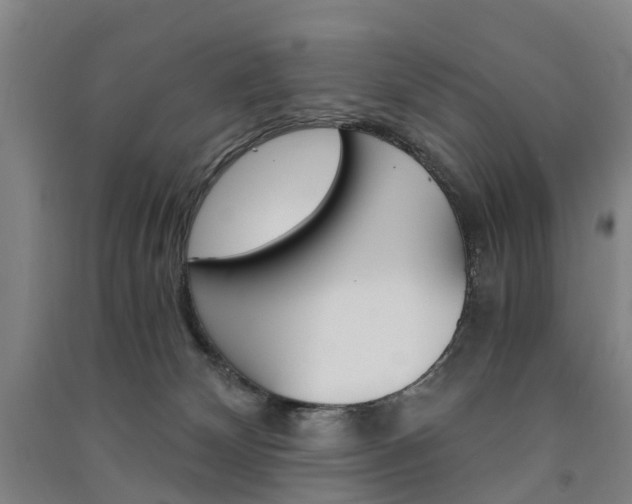 X0000091570132200708200959