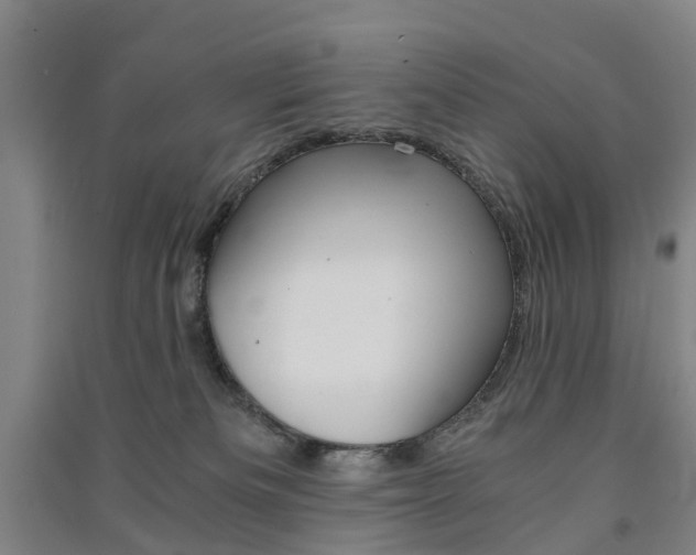 X0000091570133200708200959
