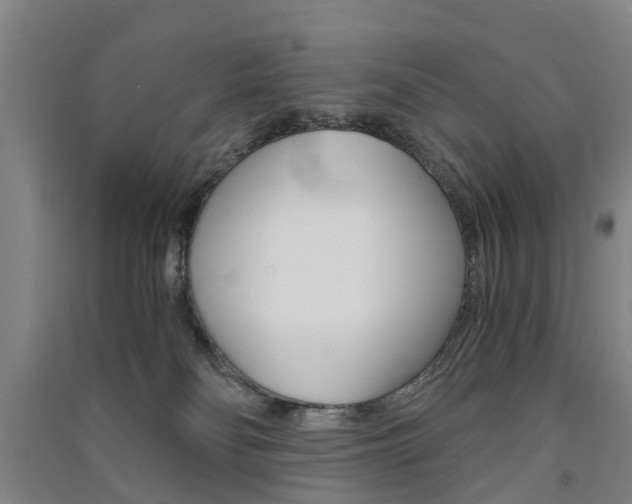 X0000091570134200708200959