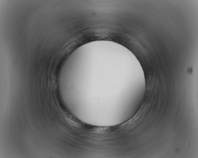 X0000091570136200708200959