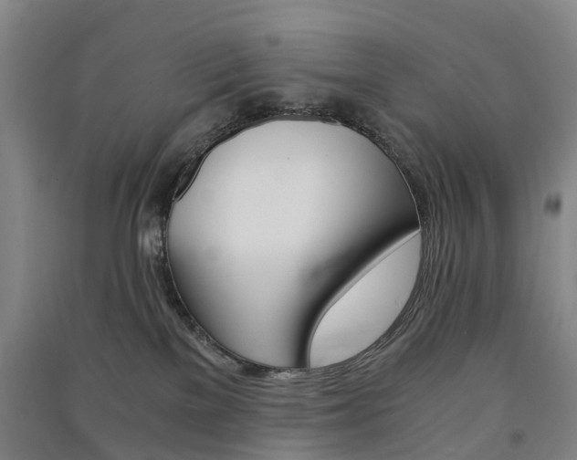 X0000091570137200708200959