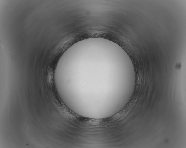 X0000091570138200708200959