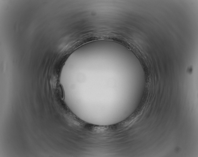X0000091570139200708200959