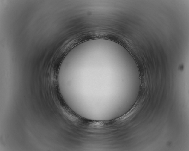 X0000091570140200708200959
