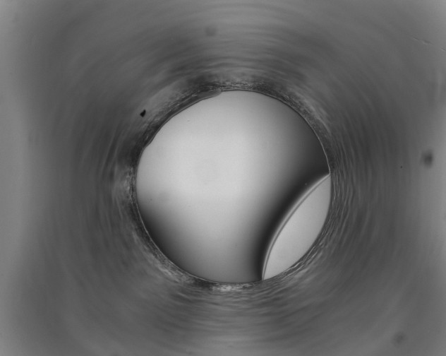 X0000091570141200708200959