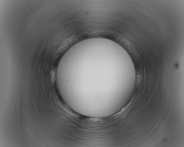 X0000091570142200708200959