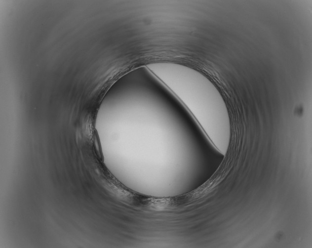 X0000091570143200708200959