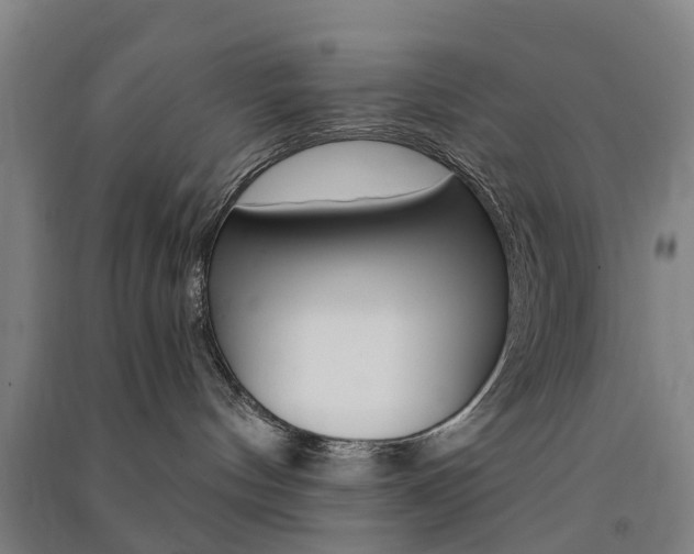 X0000091570144200708200959