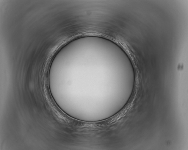 X0000091570145200708200958