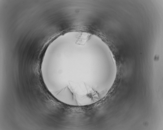 X0000091570146200708200958