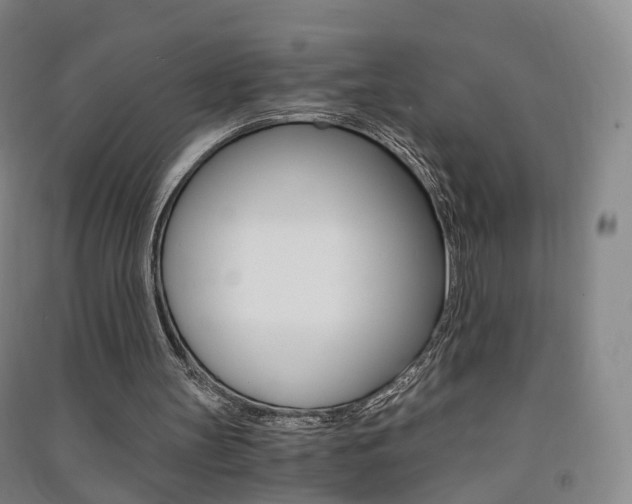 X0000091570147200708200958