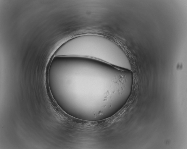 X0000091570148200708200959