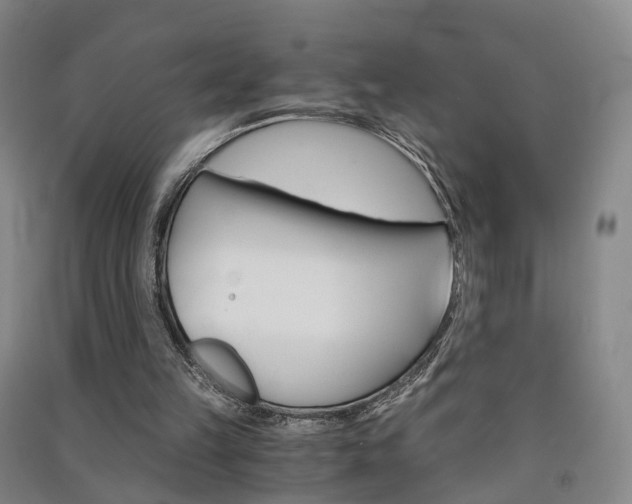X0000091570149200708200959