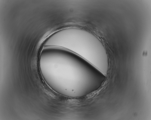 X0000091570150200708200959