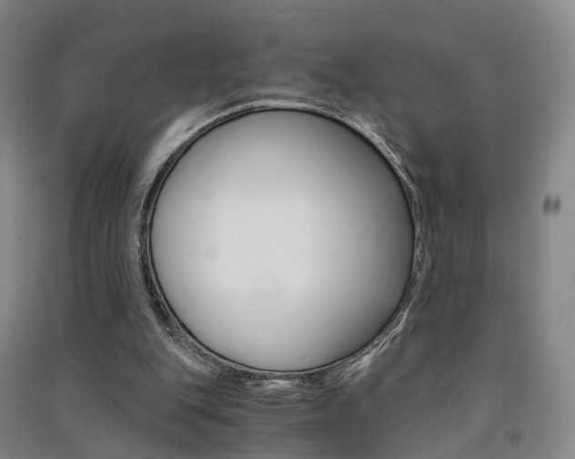 X0000091570151200708200959