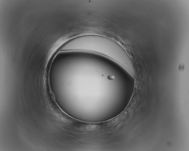 X0000091570152200708200959