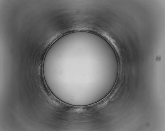 X0000091570153200708200959