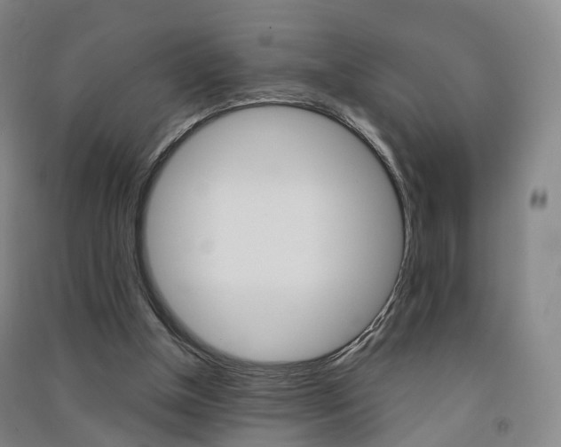 X0000091570154200708200959