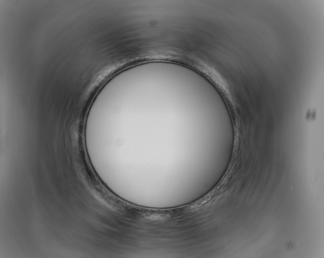 X0000091570155200708200959